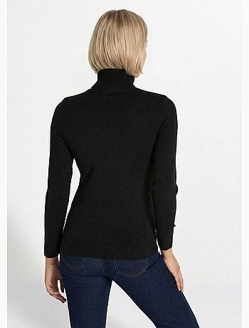 Pull doux col roulé manches longues - Afibel