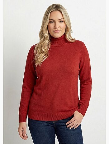 Pull doux col roulé manches longues - afibel