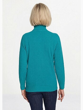 Pull doux col roulé manches longues - Afibel