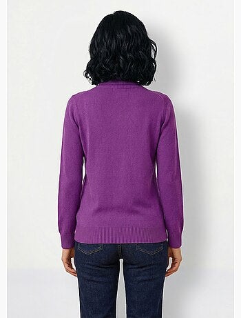 Pull doux col roulé manches longues - Afibel