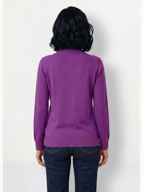 Pull doux col roulé manches longues - Afibel - Kiabi