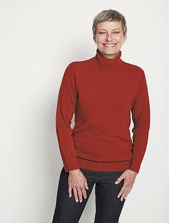 Pull doux col roulé manches longues