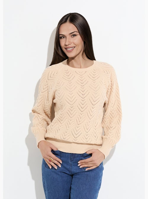 Pull doux court col rond uni ajouré - Afibel - Kiabi