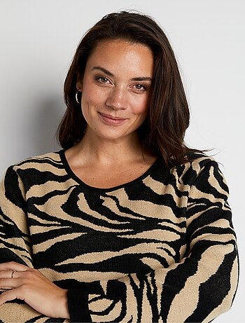 Pull doux jacquard zèbre col rond - Afibel