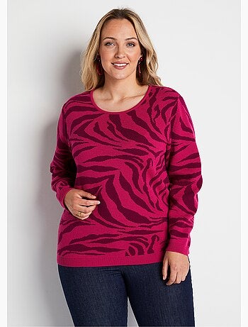 Pull doux jacquard zèbre col rond - Afibel