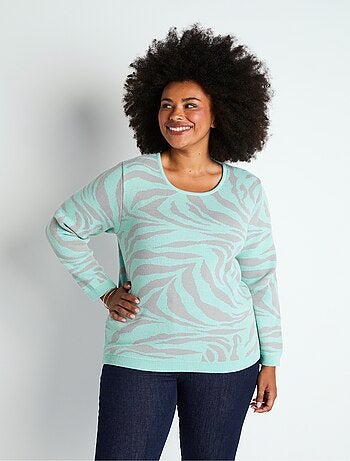 Pull doux jacquard zèbre col rond