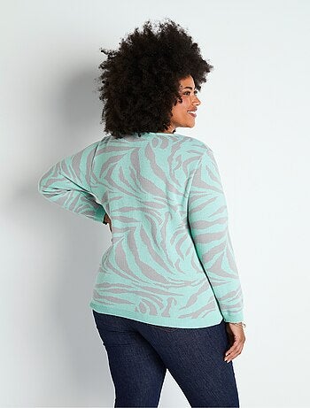 Pull doux jacquard zèbre col rond