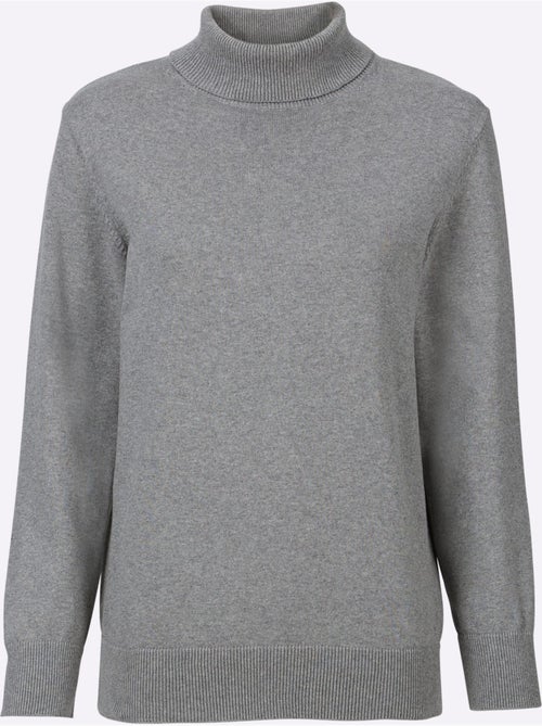 Pull en coton à col roulé et manches longues - taille standard - witt - Kiabi