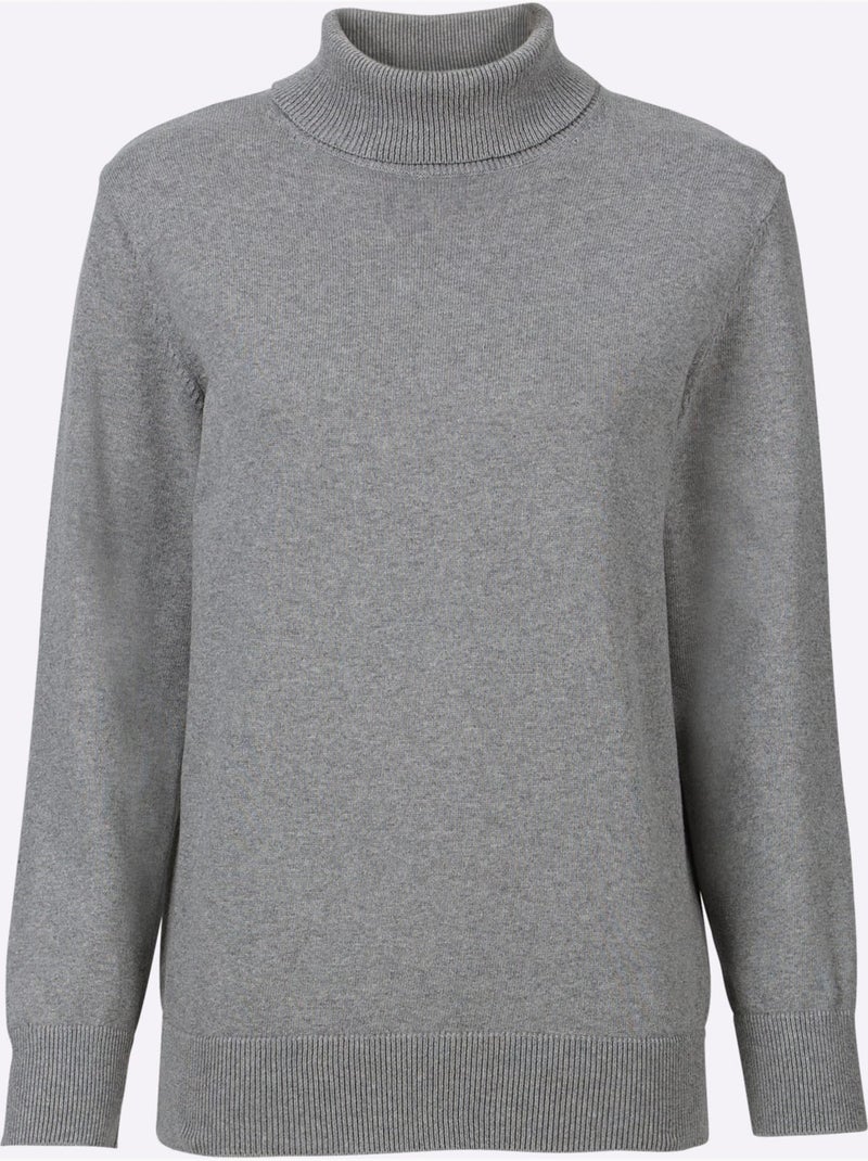 Pull en coton à col roulé et manches longues - taille standard - witt Gris chiné - Kiabi