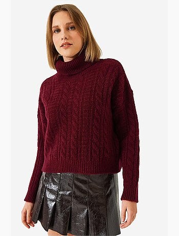 Pull en maille à col roulé et motifs lucci
