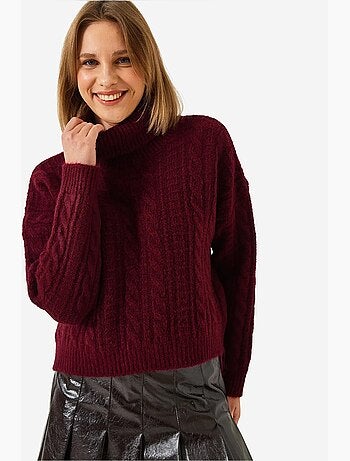 Pull en maille à col roulé et motifs lucci