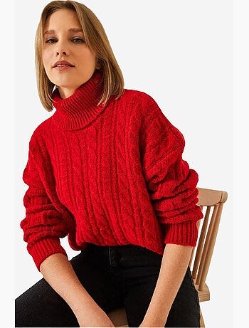 Pull en maille à col roulé et motifs lucci