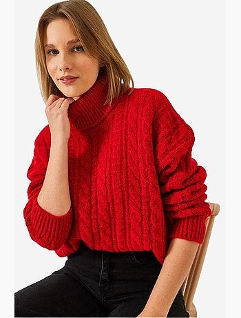 Pull en maille à col roulé et motifs lucci