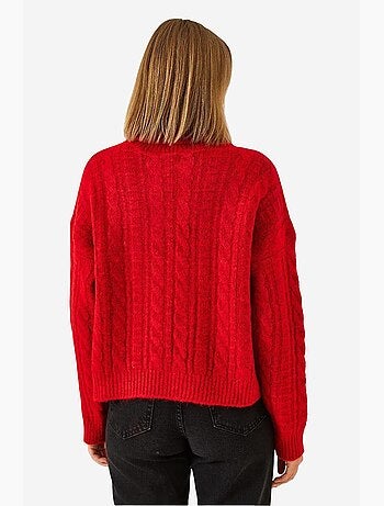 Pull en maille à col roulé et motifs lucci