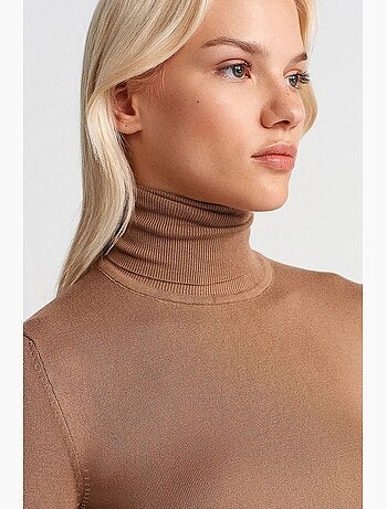 Pull en maille femme à col roulé et boutons dilvin