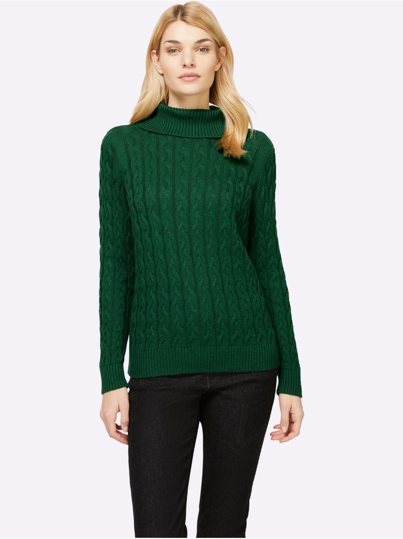 Pull en tricot à col roulé avec motif torsadé classique - taille standard - helline Beige/Vert - Kiabi