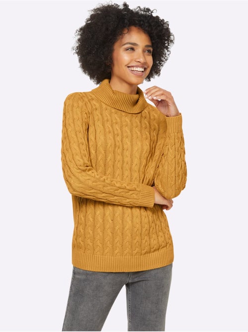 Pull en tricot à col roulé avec motif torsadé classique - Taille standard - Helline - Kiabi
