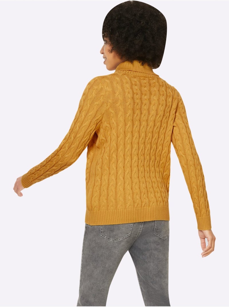 Pull en tricot à col roulé avec motif torsadé classique - Taille standard - Helline Ocre - Kiabi