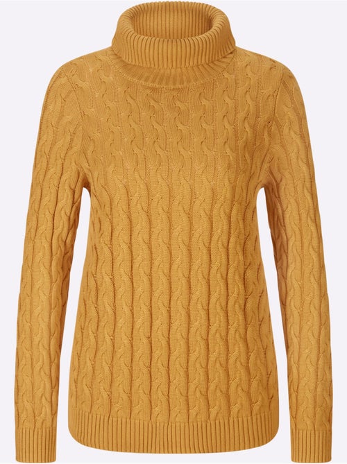 Pull en tricot à col roulé avec motif torsadé classique - Taille standard - Helline - Kiabi
