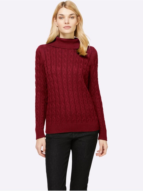Pull en tricot à col roulé avec motif torsadé classique - taille standard - helline - Kiabi Pull en tricot à col roulé avec motif torsadé classique - taille standard - helline - Kiabi