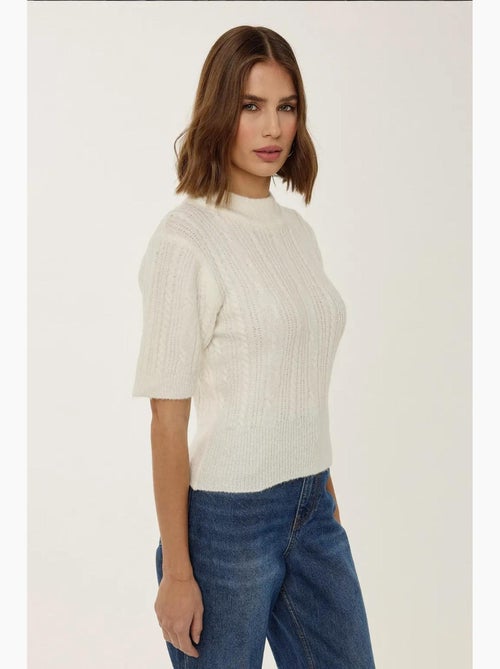 Pull en tricot à manches courtes et demi-col roulé avec tresses hiccup - Kiabi Pull en tricot à manches courtes et demi-col roulé avec tresses hiccup - Kiabi