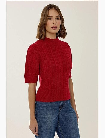 Pull en tricot à manches courtes et demi-col roulé avec tresses hiccup