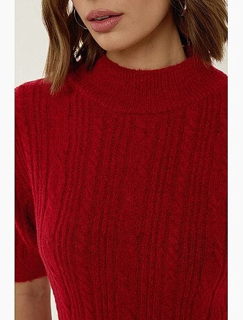 Pull en tricot à manches courtes et demi-col roulé avec tresses hiccup