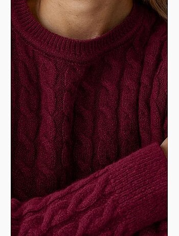 Pull en tricot à tresses épaisses et col ras du cou hiccup