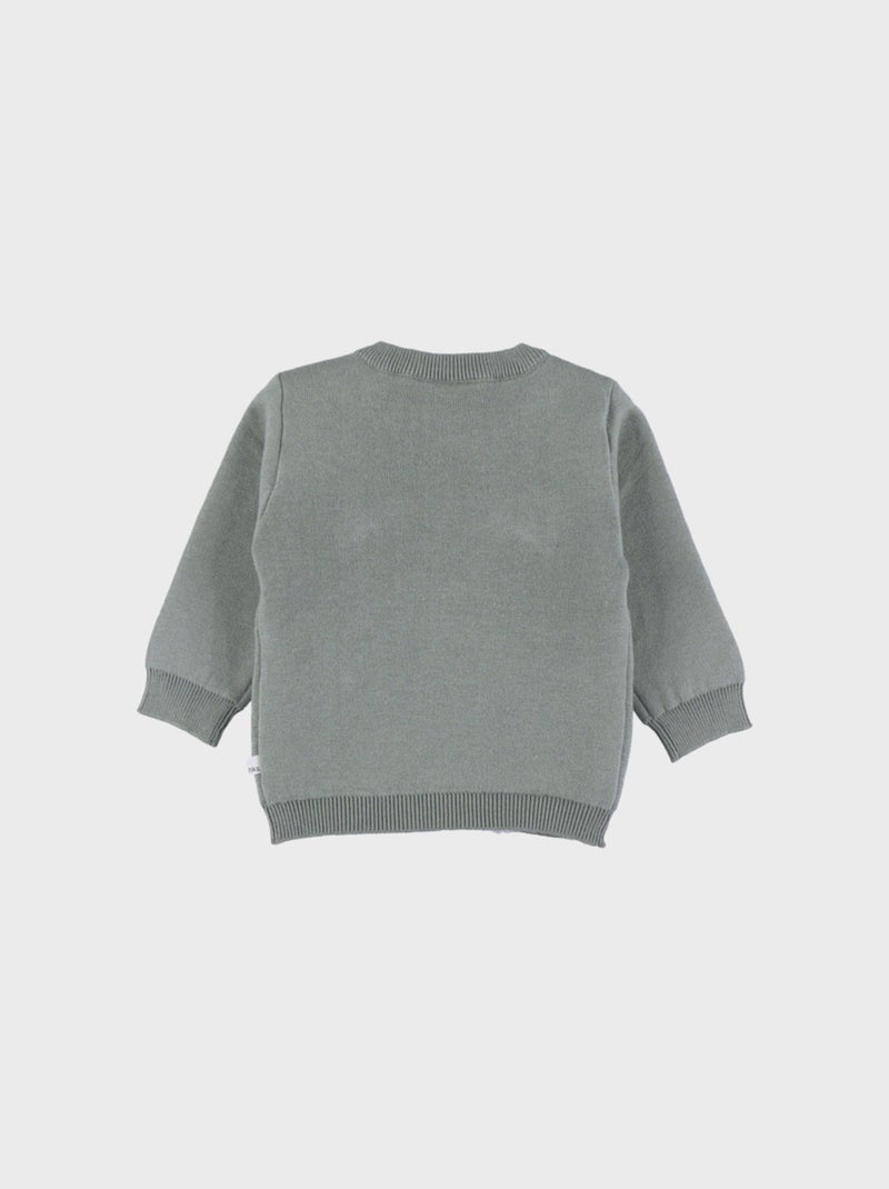Pull en tricot avec motif tigre Noukie's Vert - Kiabi
