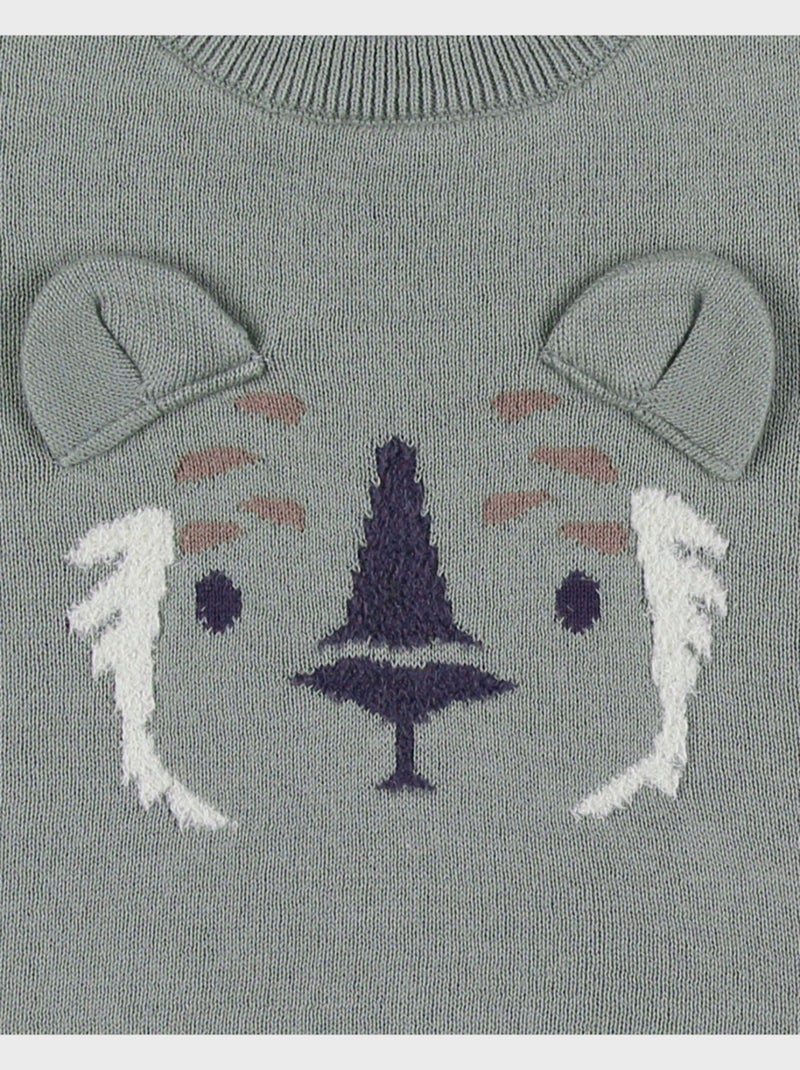 Pull en tricot avec motif tigre Noukie's Vert - Kiabi