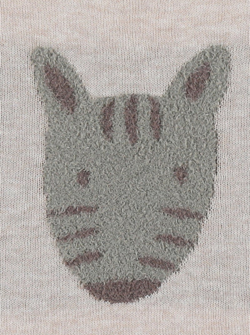 Pull en tricot avec motif zèbre Noukie's Beige - Kiabi