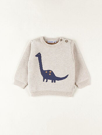 Pull en tricot, dino Noukie's