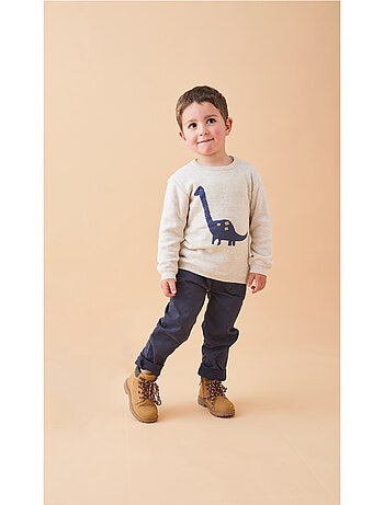 Pull en tricot, dino Noukie's