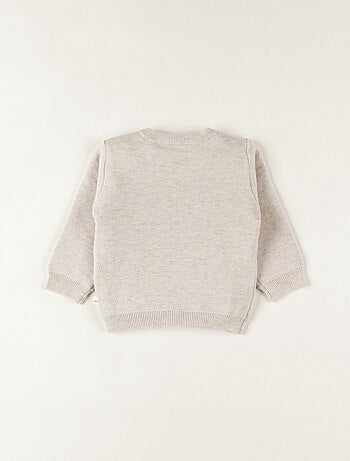 Pull en tricot, dino Noukie's