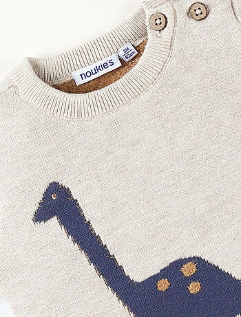Pull en tricot, dino Noukie's