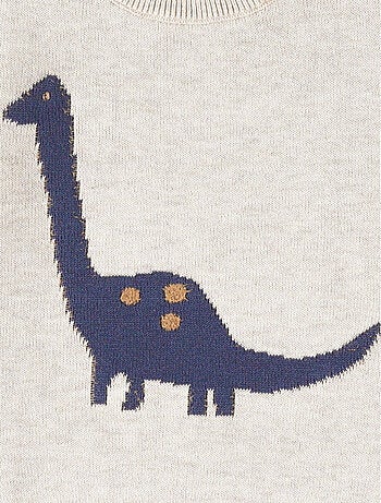 Pull en tricot, dino Noukie's