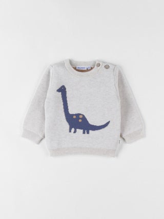 Pull en tricot, dino Noukie's