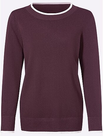 Pull En Tricot Fin Détails Contrastés Décoratifs - Taille Standard - Helline