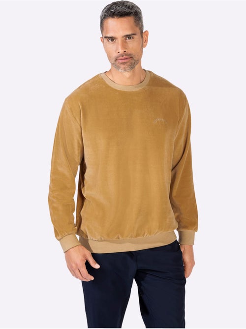 Pull en velours ras qualité velours ras doux - taille standard - witt - Kiabi Pull en velours ras qualité velours ras doux - taille standard - witt - Kiabi