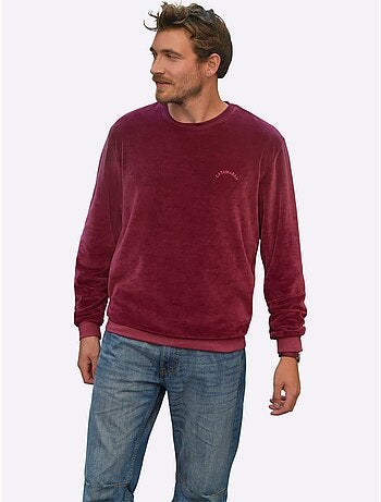 Pull en velours ras qualité velours ras doux - taille standard - witt