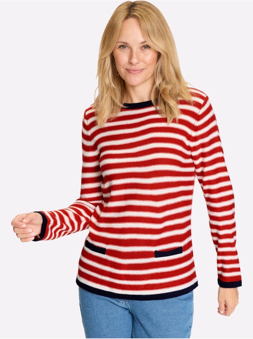 Pull Encolure Ronde Détails Contrastés - Taille Standard - Moda Vilona - Kiabi