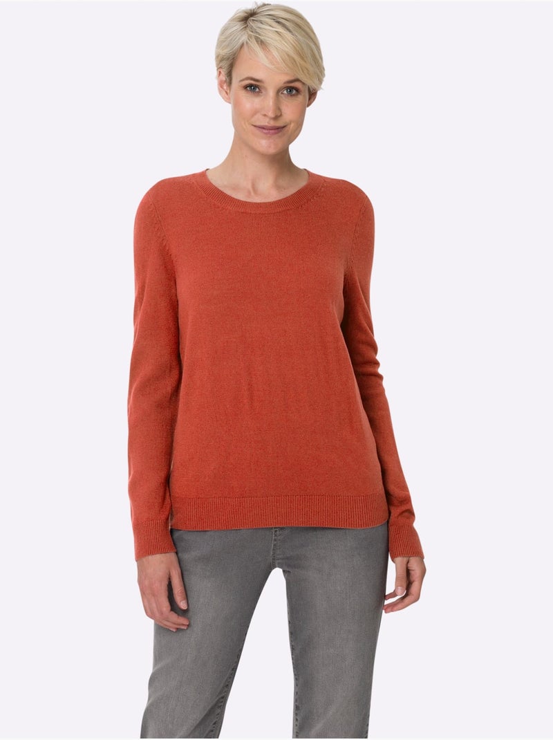Pull Encolure Ronde Doux Comme Du Cachemire - Taille Standard - Moda Vilona Terre cuite - Kiabi