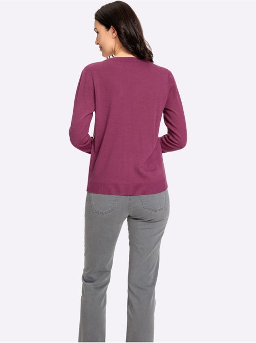 Pull Encolure Ronde Qualité Tricot Fin - Taille Standard - Witt - Kiabi Pull Encolure Ronde Qualité Tricot Fin - Taille Standard - Witt - Kiabi