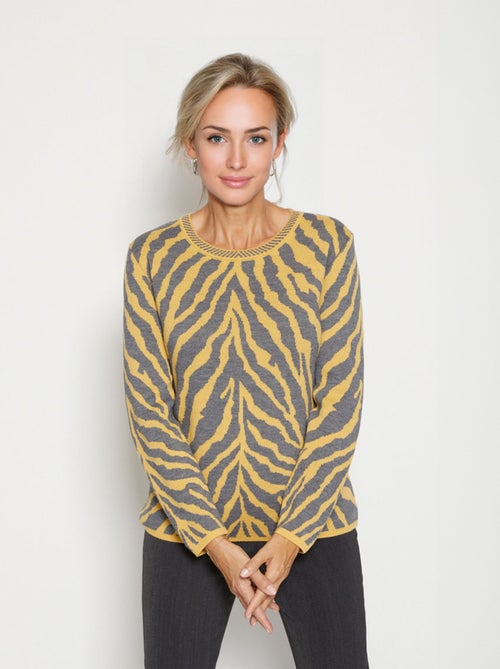 Pull fantaisie jacquard zèbre - Afibel - Kiabi