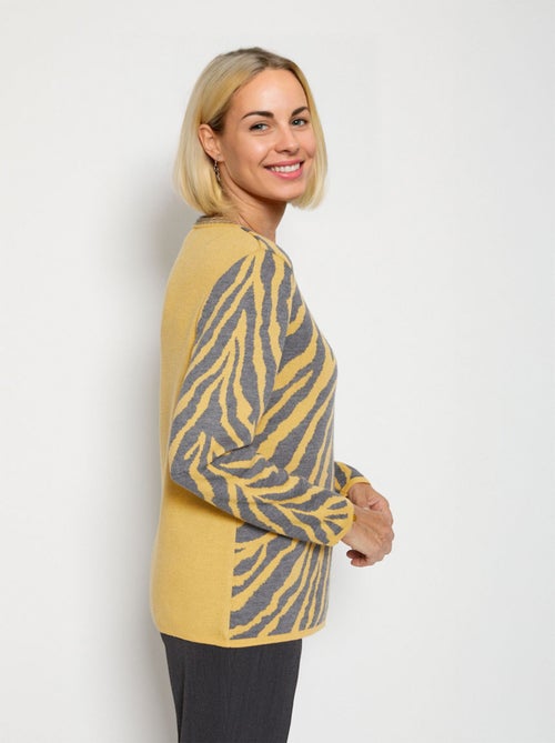 Pull fantaisie jacquard zèbre - Afibel - Kiabi