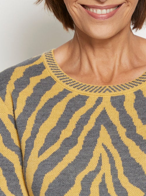 Pull fantaisie jacquard zèbre - Afibel - Kiabi