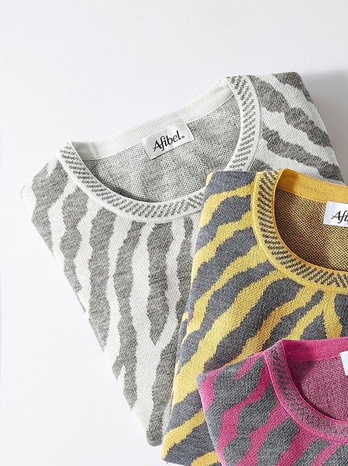 Pull fantaisie jacquard zèbre - Kiabi