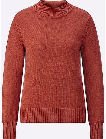 Pull femme col tortue et finitions côtelées manches et ourlet - Taille standard - Witt