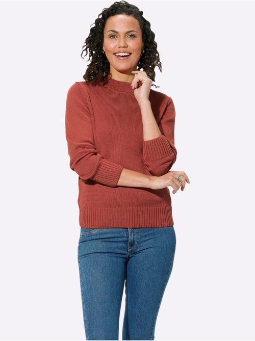 Pull femme col tortue à finitions côtelées et manches longues - Taille standard - Witt - Kiabi Pull femme col tortue à finitions côtelées et manches longues - Taille standard - Witt - Kiabi