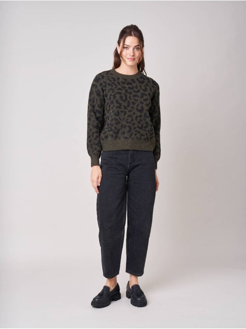 Pull femme en maille jacquard léopard 'deeluxe' - Kiabi Pull femme en maille jacquard léopard 'deeluxe' - Kiabi